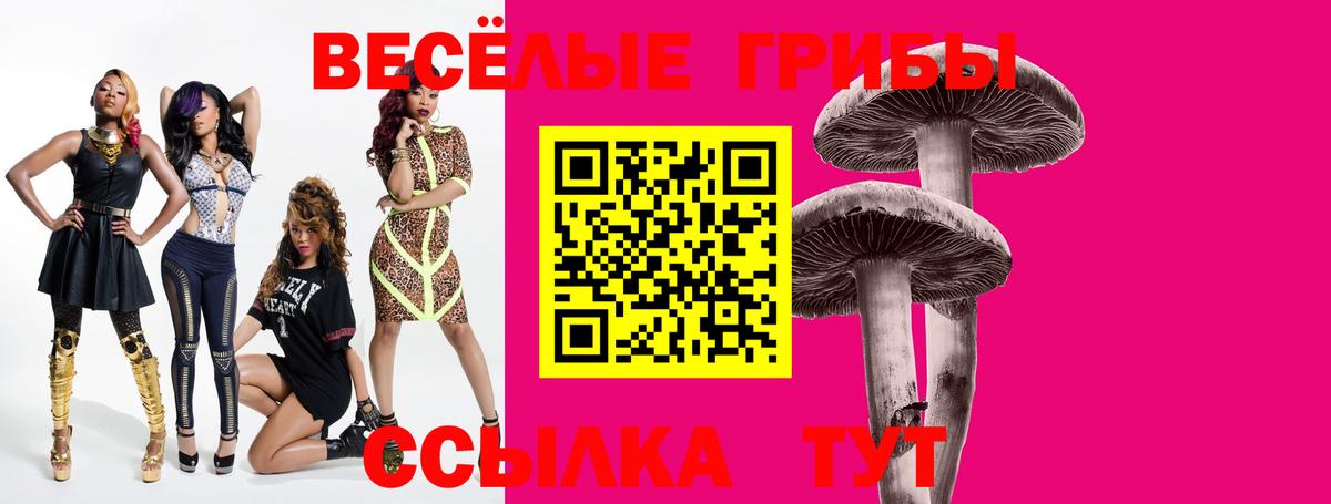 магазин продажи   Вход с VPN  Златоуст  Псилоцибиновые грибы мухоморы  Галлюциногенные грибы Psilocybe 