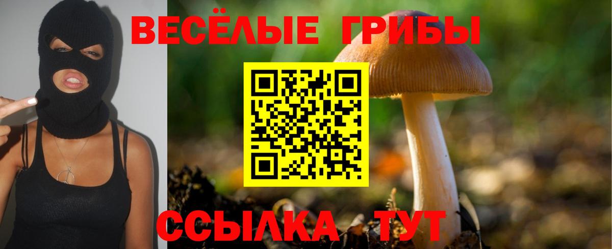 Златоуст  ГАШ  Героин  Меф МЯУ МЯУ кристаллы  Вход с VPN  Конопля  Лсд 25 